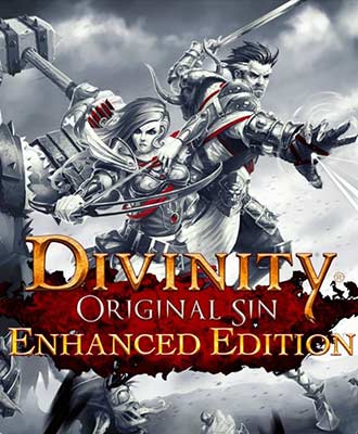 Divinity original sin enhanced edition gog update download