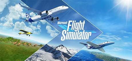 Microsoft Flight Simulator-HOODLUM