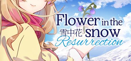 Flower in the Snow Resurrection-DARKSiDERS Flower in the Snow Resurrection-DARKSiDERS