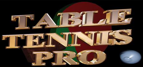 Table Tennis Pro-P2P Table Tennis Pro-P2P