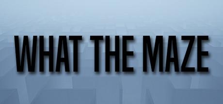 What The Maze-DARKSiDERS What The Maze-DARKSiDERS