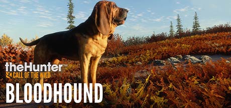 theHunter Call of the Wild Bloodhound-CODEX
