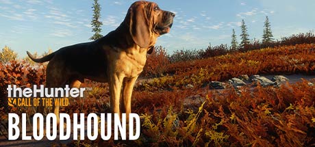 theHunter Call of the Wild Bloodhound-CODEX theHunter Call of the Wild Bloodhound-CODEX