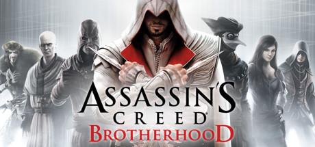 Assassins Creed Brotherhood MULTi13-ElAmigos
