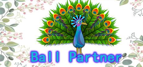 Ball Partner-P2P Ball Partner-P2P