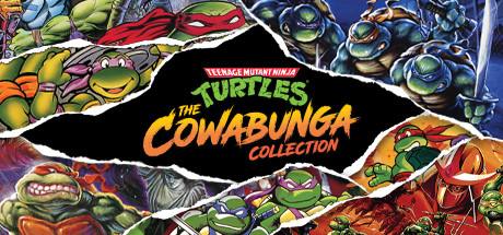 Teenage Mutant Ninja Turtles The Cowabunga Collection-Goldberg