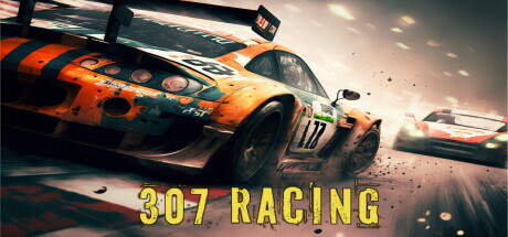 307 Racing-TENOKE 307 Racing-TENOKE