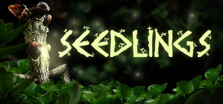 Seedlings-TENOKE Seedlings-TENOKE