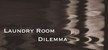Laundry Room Dilemma-TENOKE Laundry Room Dilemma-TENOKE